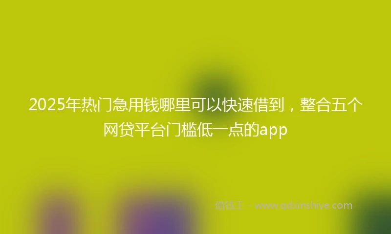 2025年热门急用钱哪里可以快速借到，整合五个网贷平台门槛低一点的app