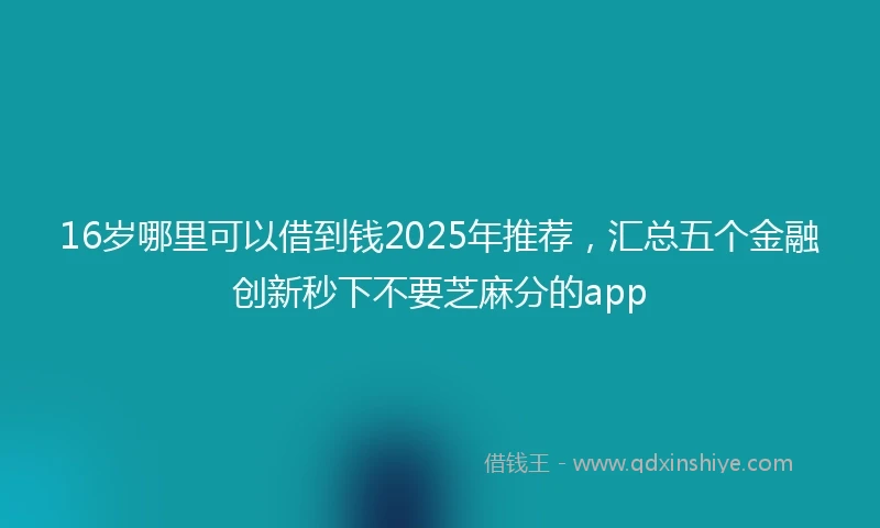 16岁哪里可以借到钱2025年推荐，汇总五个金融创新秒下不要芝麻分的app