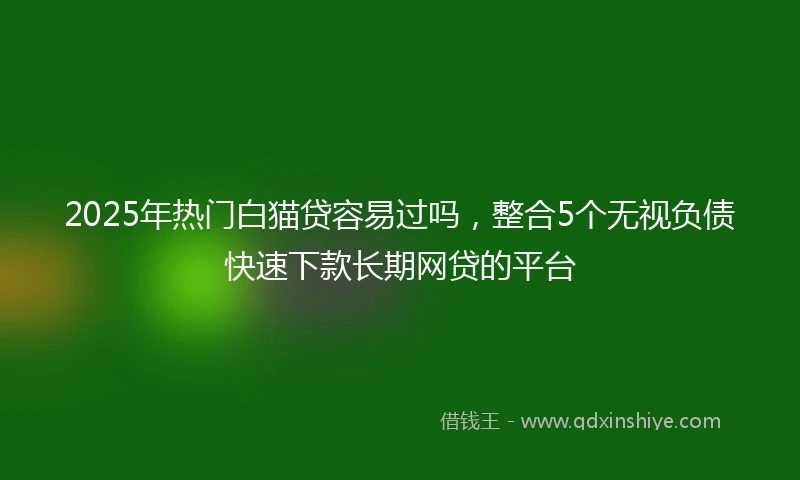 2025年热门白猫贷容易过吗，整合5个无视负债快速下款长期网贷的平台
