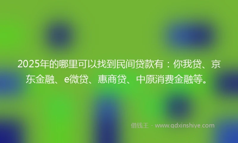 2025年的哪里可以找到民间贷款有：你我贷、京东金融、e微贷、惠商贷、中原消费金融等。