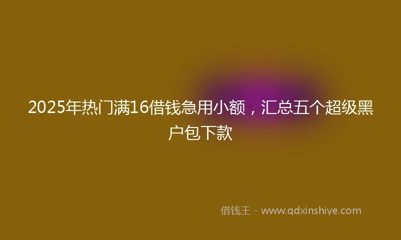 2025年热门满16借钱急用小额，汇总五个超级黑户包下款