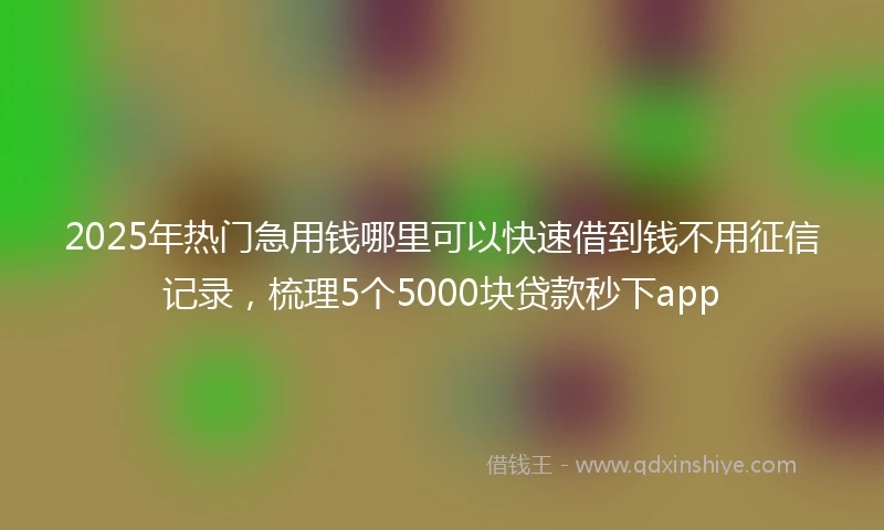 2025年热门急用钱哪里可以快速借到钱不用征信记录，梳理5个5000块贷款秒下app