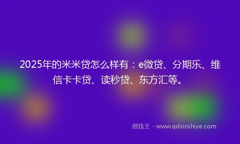 2025年的米米贷怎么样有：e微贷、分期乐、维信卡卡贷、读秒贷、东方汇等。