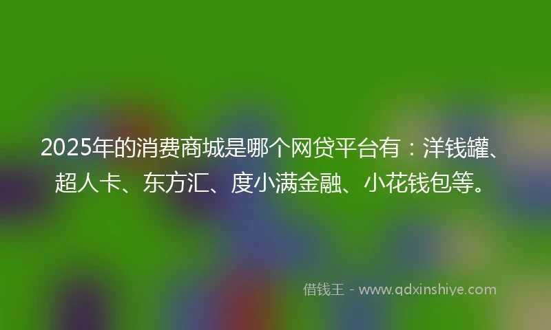 2025年的消费商城是哪个网贷平台有：洋钱罐、超人卡、东方汇、度小满金融、小花钱包等。