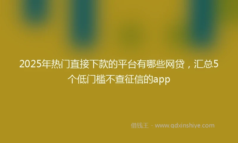 2025年热门直接下款的平台有哪些网贷，汇总5个低门槛不查征信的app