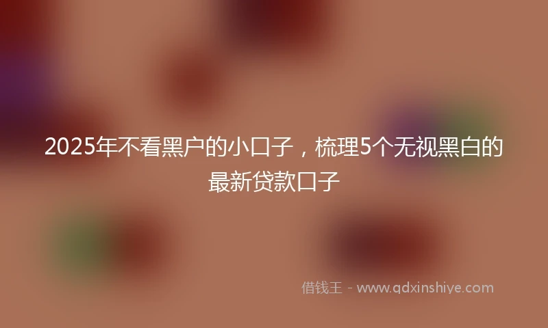 2025年不看黑户的小口子，梳理5个无视黑白的最新贷款口子