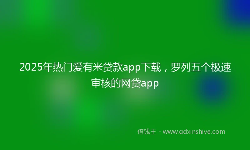 2025年热门爱有米贷款app下载，罗列五个极速审核的网贷app