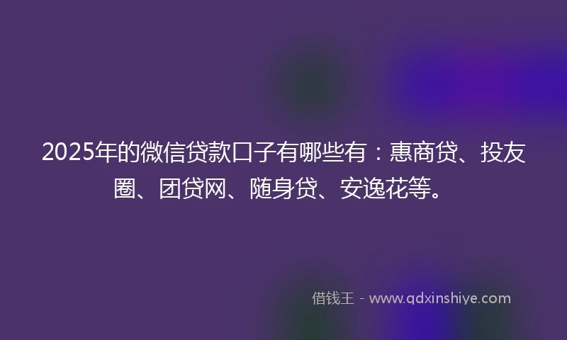2025年的微信贷款口子有哪些有：惠商贷、投友圈、团贷网、随身贷、安逸花等。