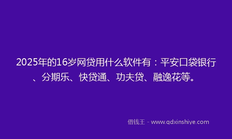 2025年的16岁网贷用什么软件有：平安口袋银行、分期乐、快贷通、功夫贷、融逸花等。