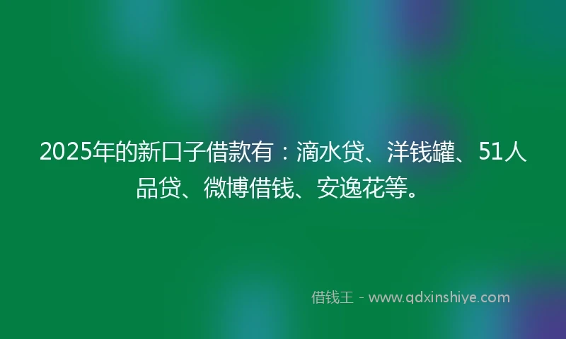 2025年的新口子借款有：滴水贷、洋钱罐、51人品贷、微博借钱、安逸花等。