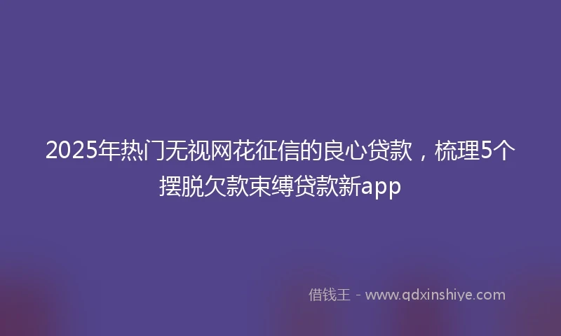 2025年热门无视网花征信的良心贷款，梳理5个摆脱欠款束缚贷款新app