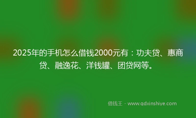 2025年的手机怎么借钱2000元有：功夫贷、惠商贷、融逸花、洋钱罐、团贷网等。