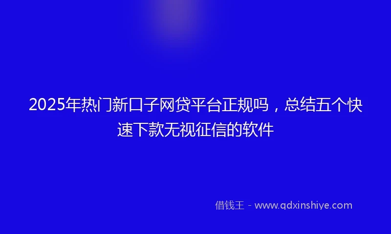 2025年热门新口子网贷平台正规吗，总结五个快速下款无视征信的软件