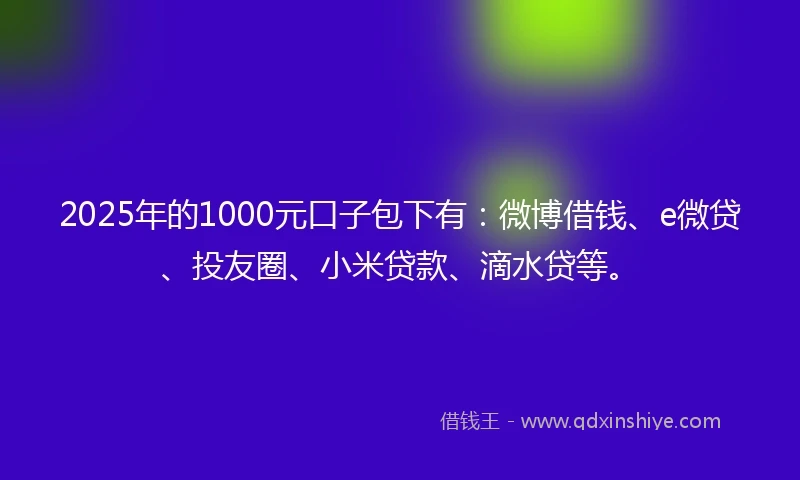 2025年的1000元口子包下有：微博借钱、e微贷、投友圈、小米贷款、滴水贷等。