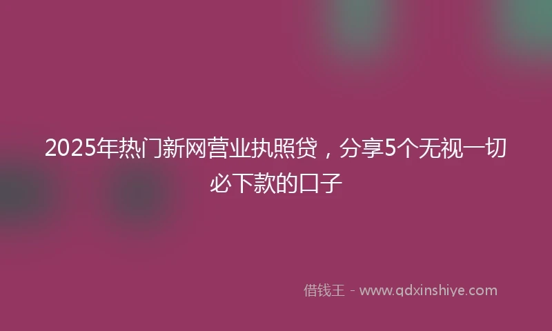 2025年热门新网营业执照贷，分享5个无视一切必下款的口子
