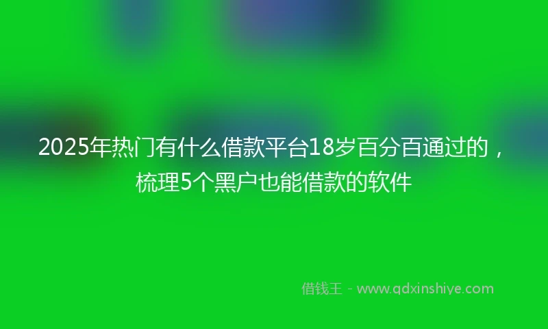 2025年热门有什么借款平台18岁百分百通过的，梳理5个黑户也能借款的软件