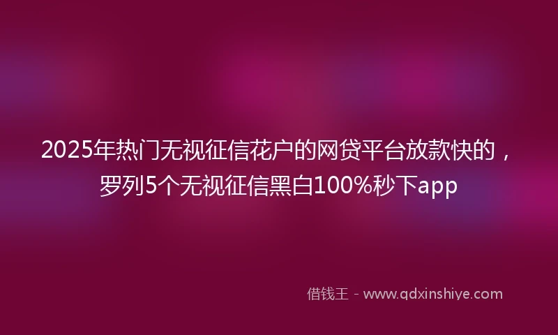 2025年热门无视征信花户的网贷平台放款快的，罗列5个无视征信黑白100%秒下app
