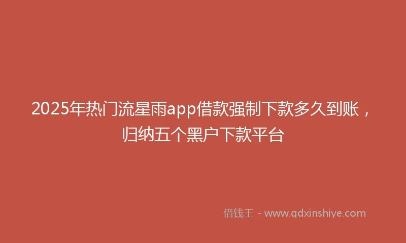 2025年热门流星雨app借款强制下款多久到账,归纳五个黑户下款平台