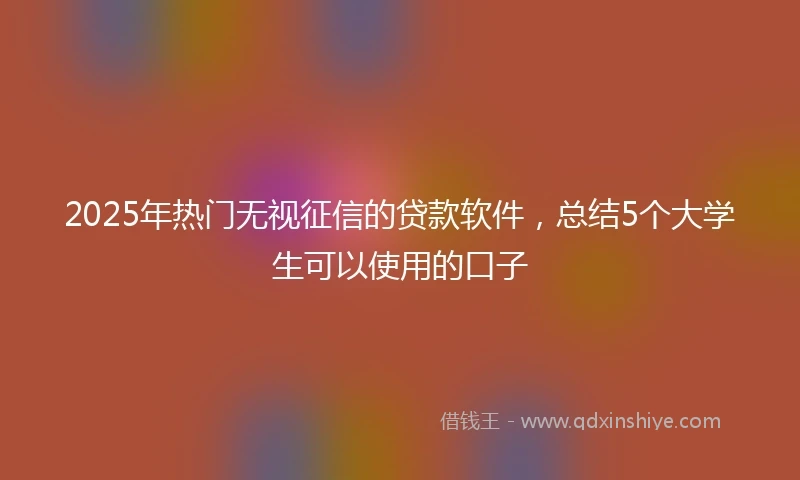 2025年热门无视征信的贷款软件，总结5个大学生可以使用的口子