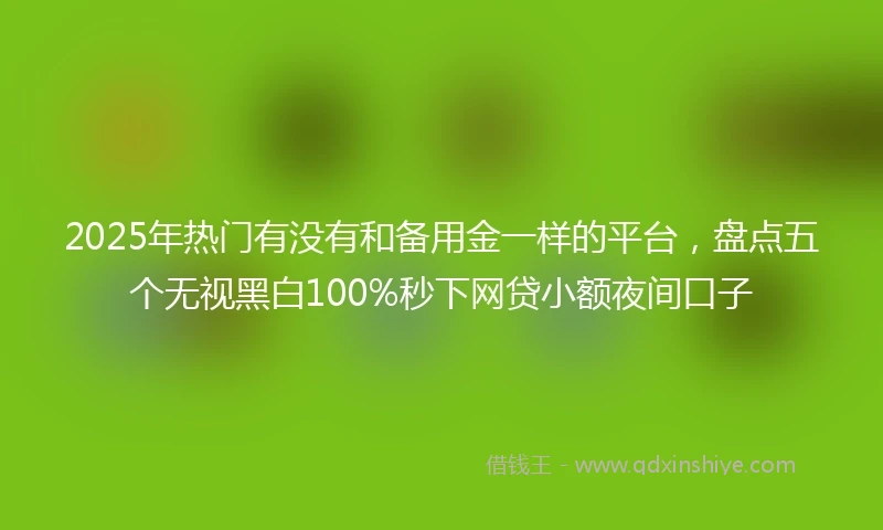 2025年热门有没有和备用金一样的平台，盘点五个无视黑白100%秒下网贷小额夜间口子