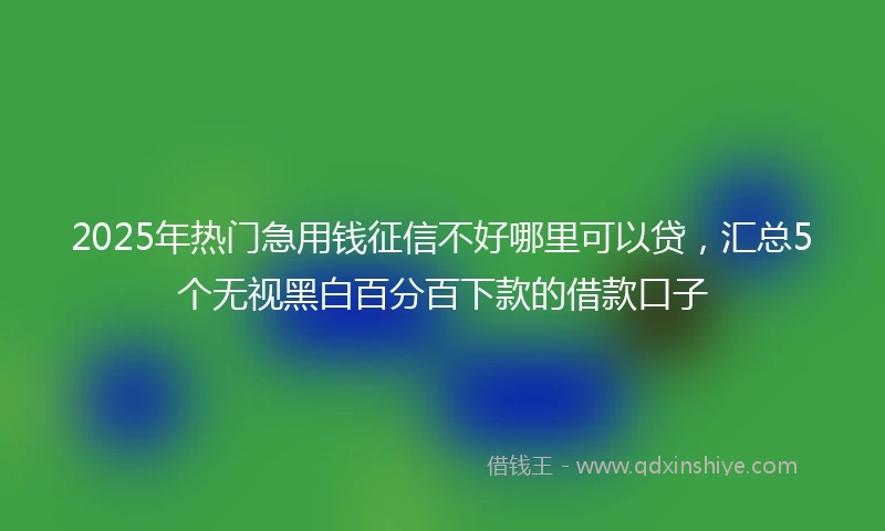 2025年热门急用钱征信不好哪里可以贷，汇总5个无视黑白百分百下款的借款口子