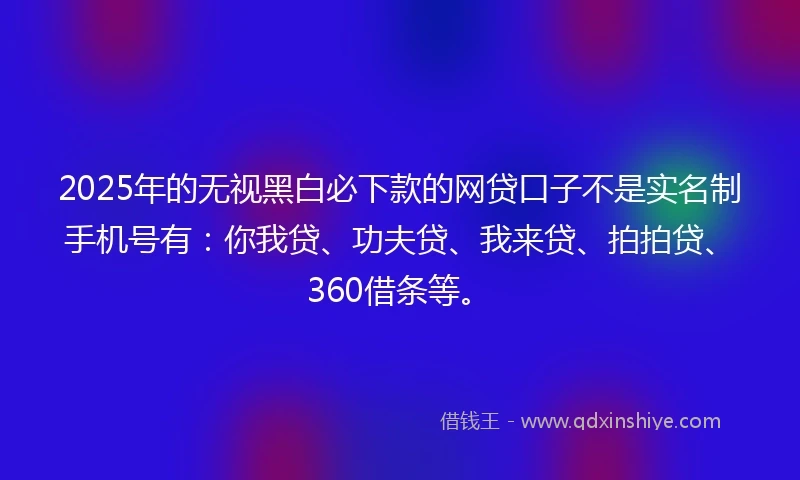 2025年的无视黑白必下款的网贷口子不是实名制手机号有：你我贷、功夫贷、我来贷、拍拍贷、360借条等。