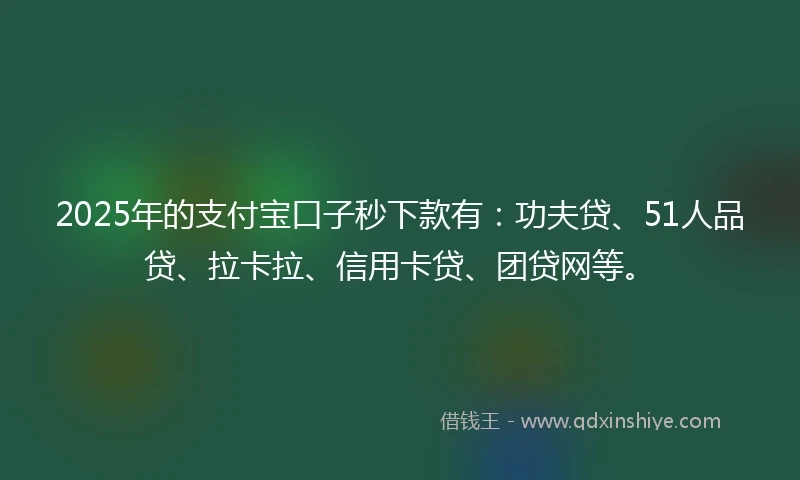 2025年的支付宝口子秒下款有：功夫贷、51人品贷、拉卡拉、信用卡贷、团贷网等。
