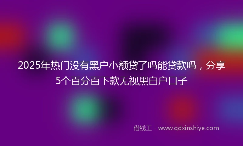 2025年热门没有黑户小额贷了吗能贷款吗,分享5个百分百下款无视黑白户口子