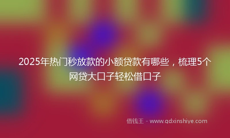 2025年热门秒放款的小额贷款有哪些，梳理5个网贷大口子轻松借口子