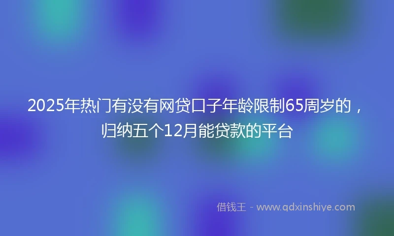 2025年热门有没有网贷口子年龄限制65周岁的，归纳五个12月能贷款的平台