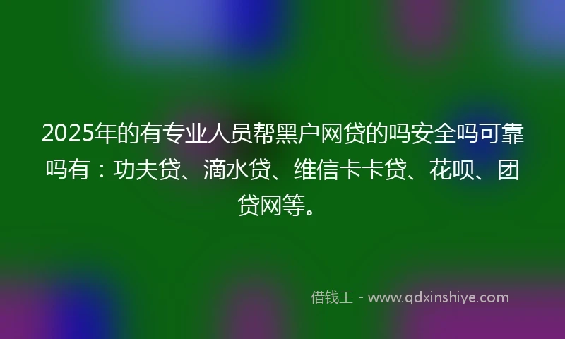 2025年的有专业人员帮黑户网贷的吗安全吗可靠吗有：功夫贷、滴水贷、维信卡卡贷、花呗、团贷网等。