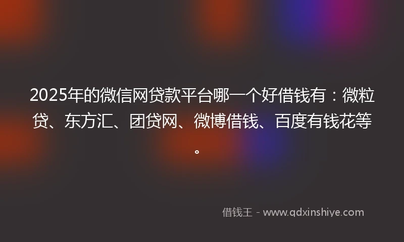 2025年的微信网贷款平台哪一个好借钱有：微粒贷、东方汇、团贷网、微博借钱、百度有钱花等。
