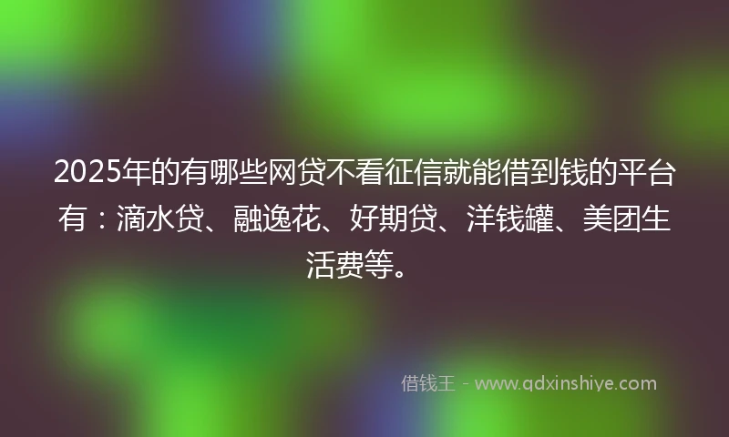 2025年的有哪些网贷不看征信就能借到钱的平台有：滴水贷、融逸花、好期贷、洋钱罐、美团生活费等。