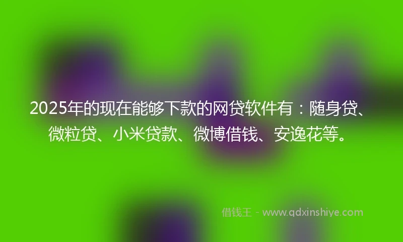 2025年的现在能够下款的网贷软件有：随身贷、微粒贷、小米贷款、微博借钱、安逸花等。