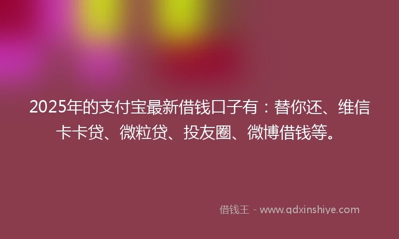 2025年的支付宝最新借钱口子有：替你还、维信卡卡贷、微粒贷、投友圈、微博借钱等。