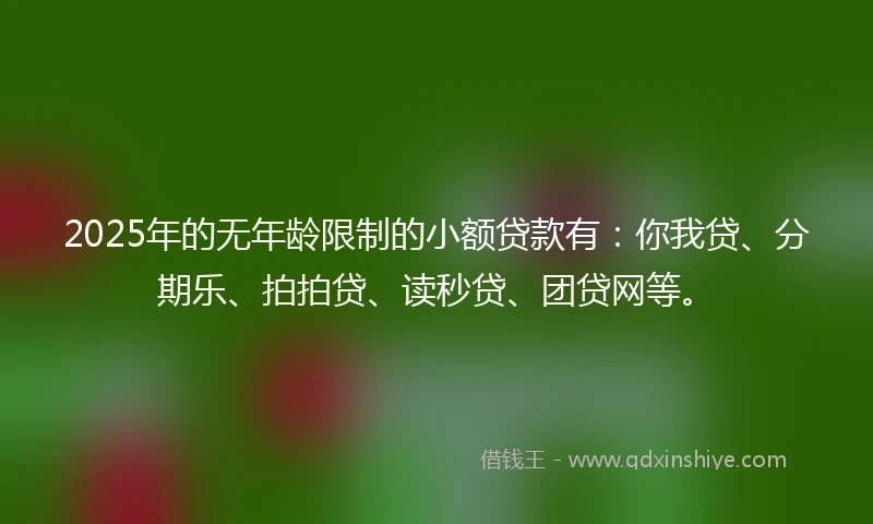 2025年的无年龄限制的小额贷款有：你我贷、分期乐、拍拍贷、读秒贷、团贷网等。