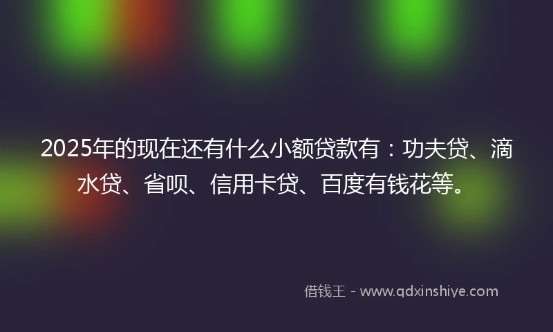 2025年的现在还有什么小额贷款有：功夫贷、滴水贷、省呗、信用卡贷、百度有钱花等。