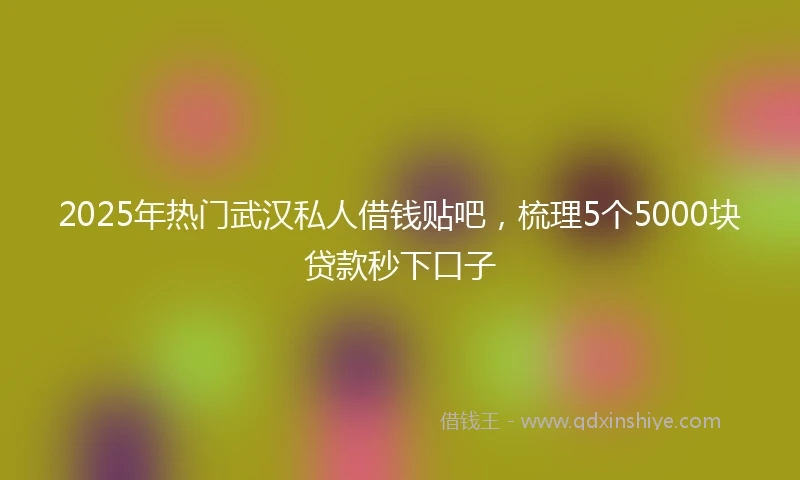 2025年热门武汉私人借钱贴吧，梳理5个5000块贷款秒下口子