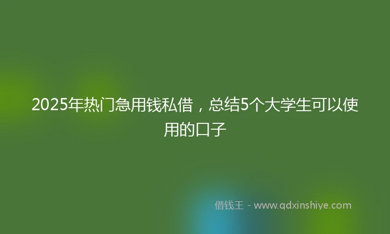 2025年热门急用钱私借，总结5个大学生可以使用的口子