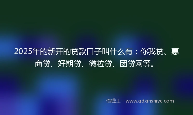 2025年的新开的贷款口子叫什么有：你我贷、惠商贷、好期贷、微粒贷、团贷网等。