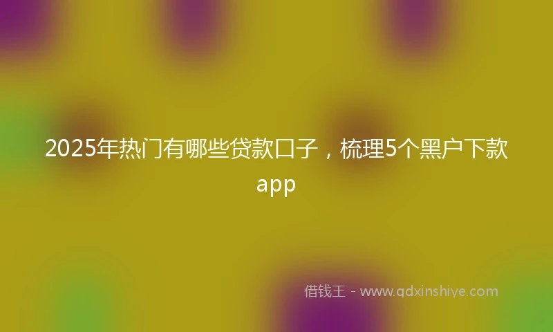 2025年热门有哪些贷款口子，梳理5个黑户下款app