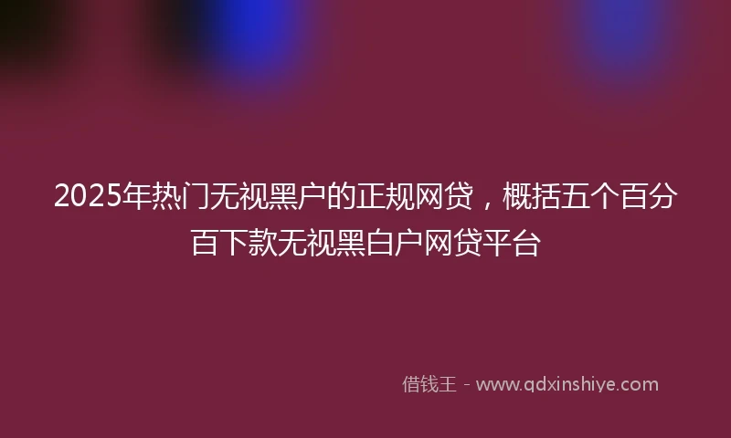 2025年热门无视黑户的正规网贷，概括五个百分百下款无视黑白户网贷平台