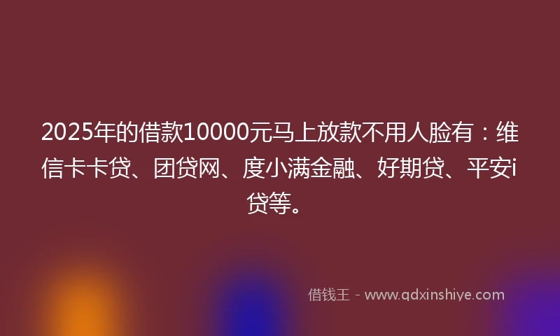 2025年的借款10000元马上放款不用人脸有：维信卡卡贷、团贷网、度小满金融、好期贷、平安i贷等。