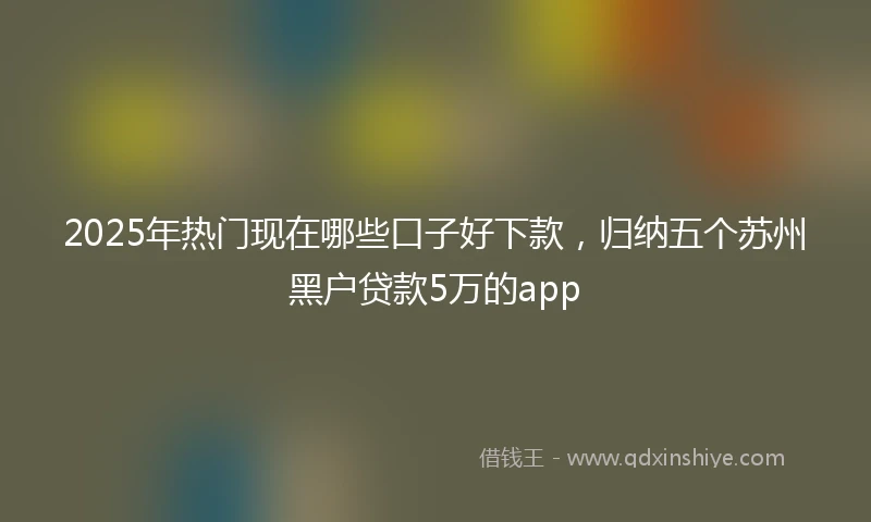 2025年热门现在哪些口子好下款，归纳五个苏州黑户贷款5万的app