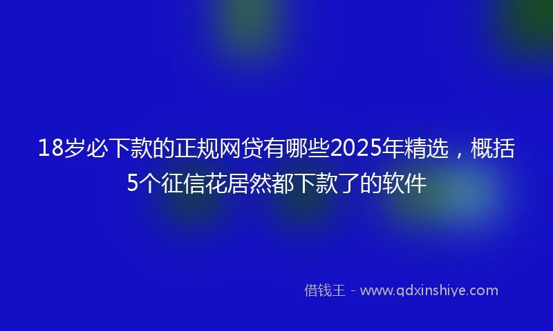 18岁必下款的正规网贷有哪些2025年精选，概括5个征信花居然都下款了的软件