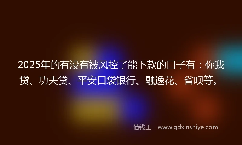 2025年的有没有被风控了能下款的口子有：你我贷、功夫贷、平安口袋银行、融逸花、省呗等。