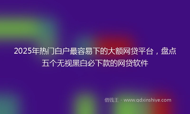 2025年热门白户最容易下的大额网贷平台，盘点五个无视黑白必下款的网贷软件