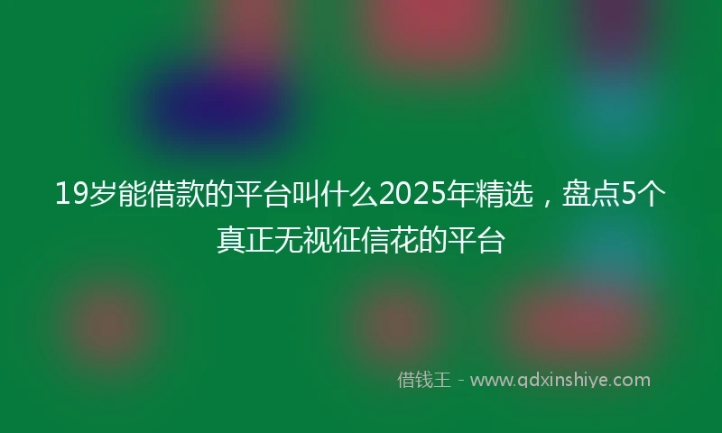 19岁能借款的平台叫什么2025年精选，盘点5个真正无视征信花的平台