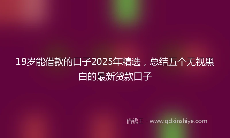 19岁能借款的口子2025年精选，总结五个无视黑白的最新贷款口子