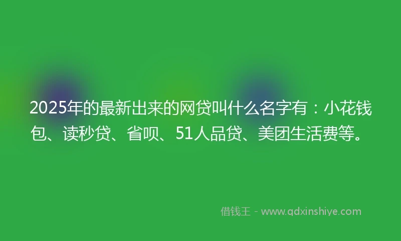 2025年的最新出来的网贷叫什么名字有：小花钱包、读秒贷、省呗、51人品贷、美团生活费等。